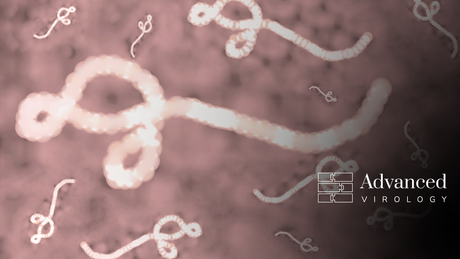 Bundibugyo Ebolavirus VLPs Now Available for Custom Order