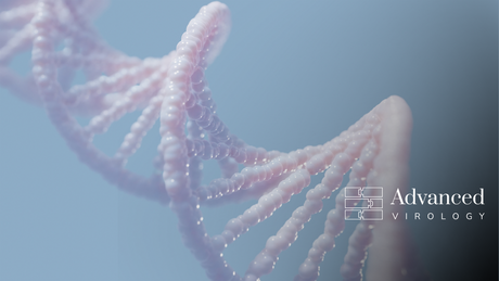 Pink DNA helix