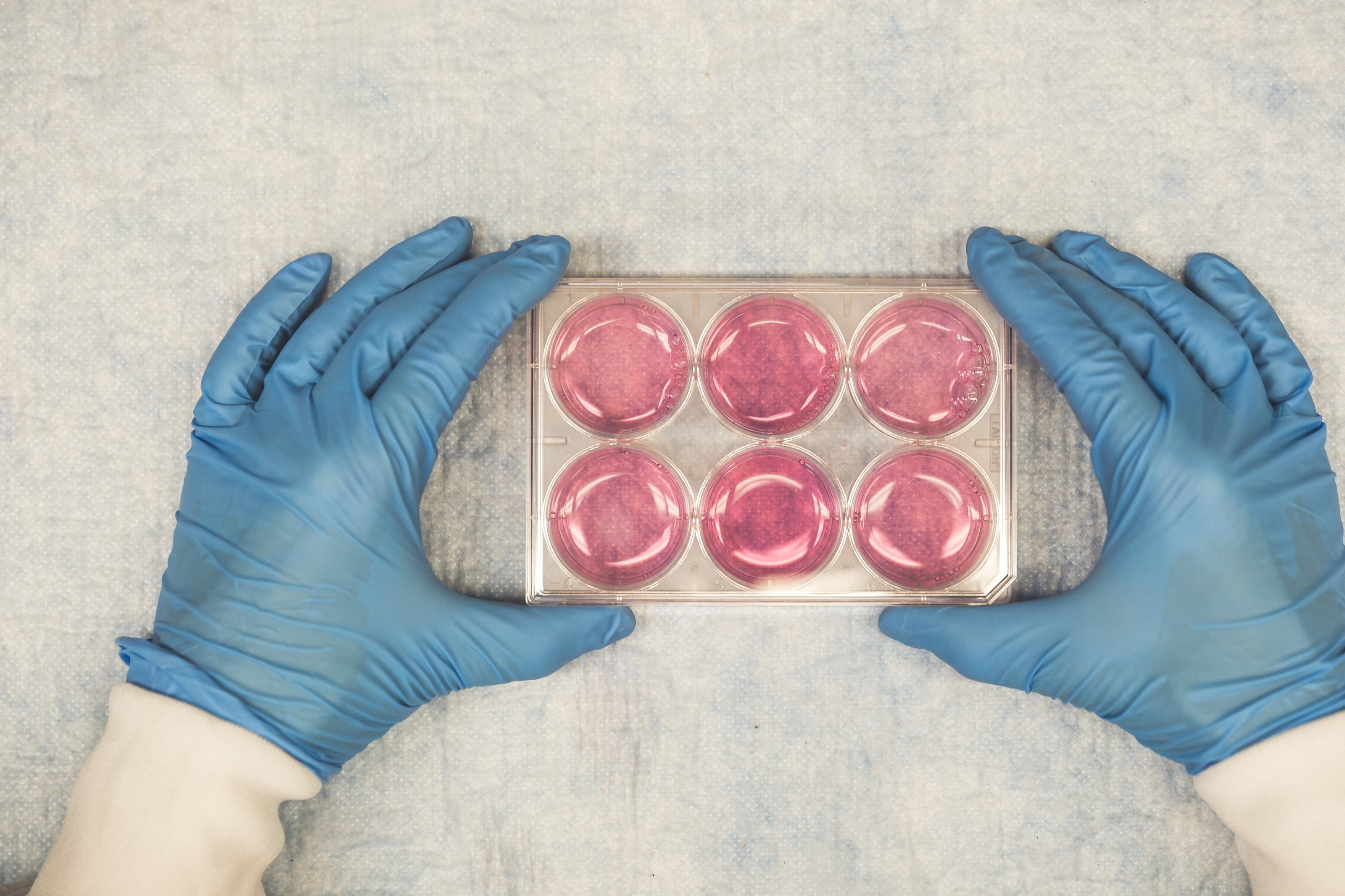 Advanced Virology Inc.